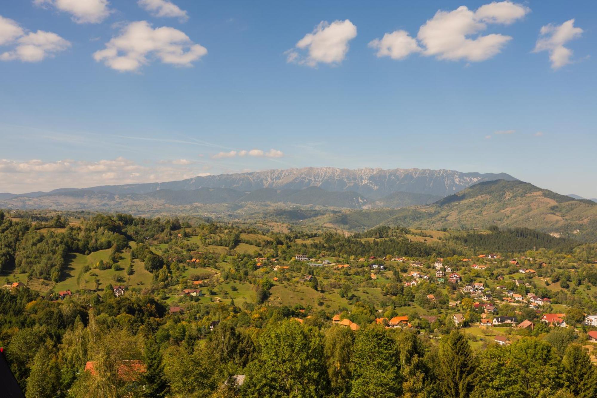 בראן The Pines Bucegi Lodge מראה חיצוני תמונה